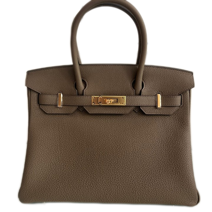 Birkin -The Everyday Icon